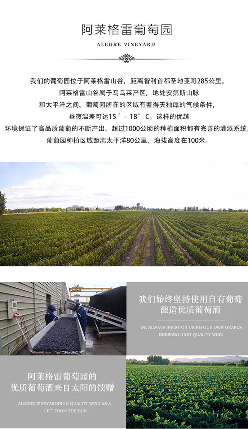 91香蕉视频在线播放·老藤切片_10.jpg