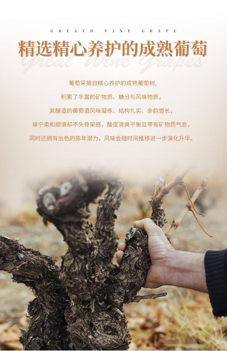 91香蕉视频在线播放·山谷老藤切片_07.jpg